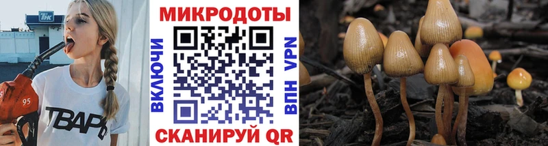 Галлюциногенные грибы Magic Shrooms  блэк спрут   Чудово  закладка 
